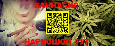 крисы Кингисепп