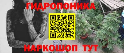 амф Красноармейск