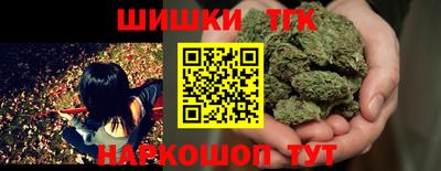 крисы Кингисепп