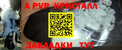 крисы Кингисепп
