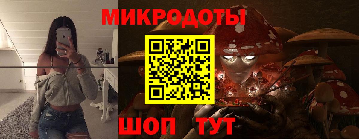Галлюциногенные грибы прущие грибы Удомля