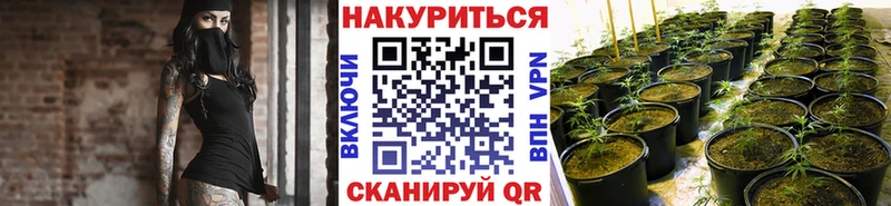 МАРИХУАНА сатива  наркотики  Удомля 